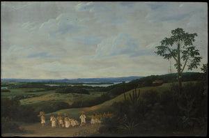 A Brazilian Landscape 1