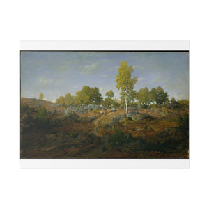 An Early Summer Morning in the Forest of Fontainebleau - Théodore Rousseau 2