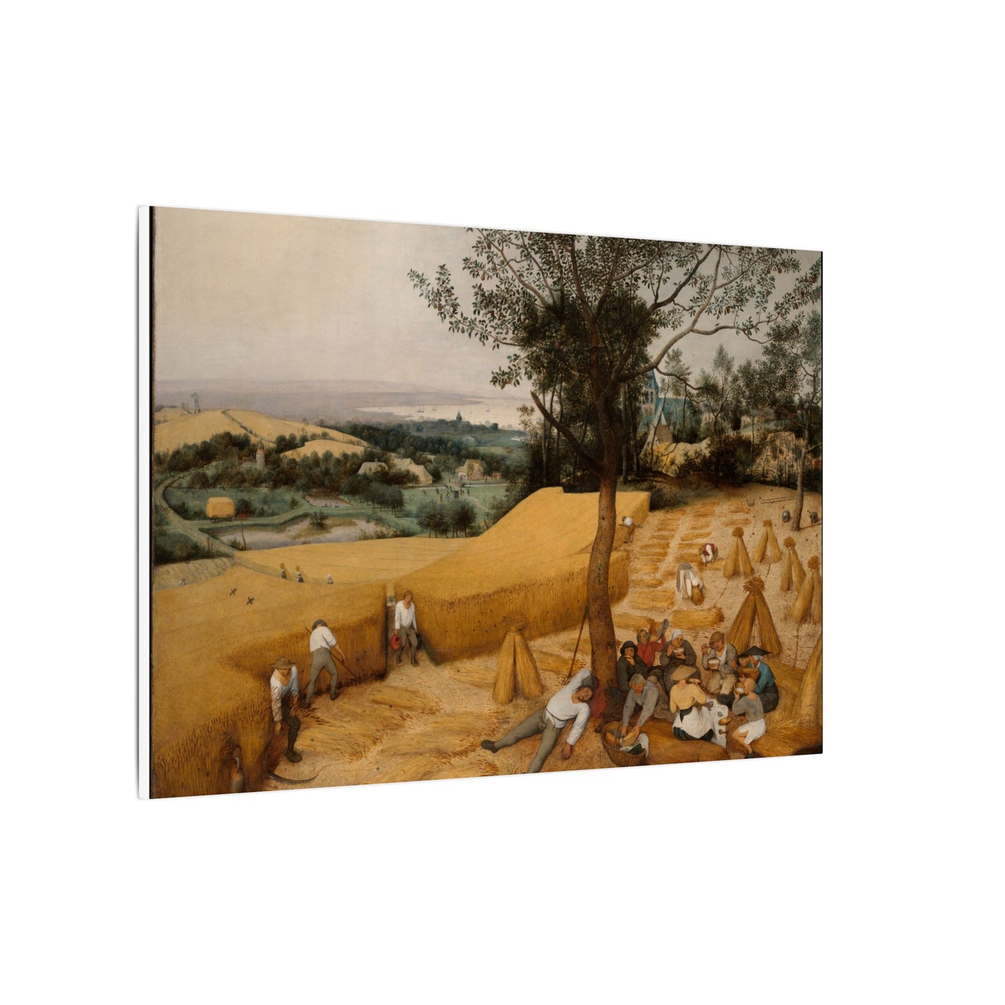 The Harvesters