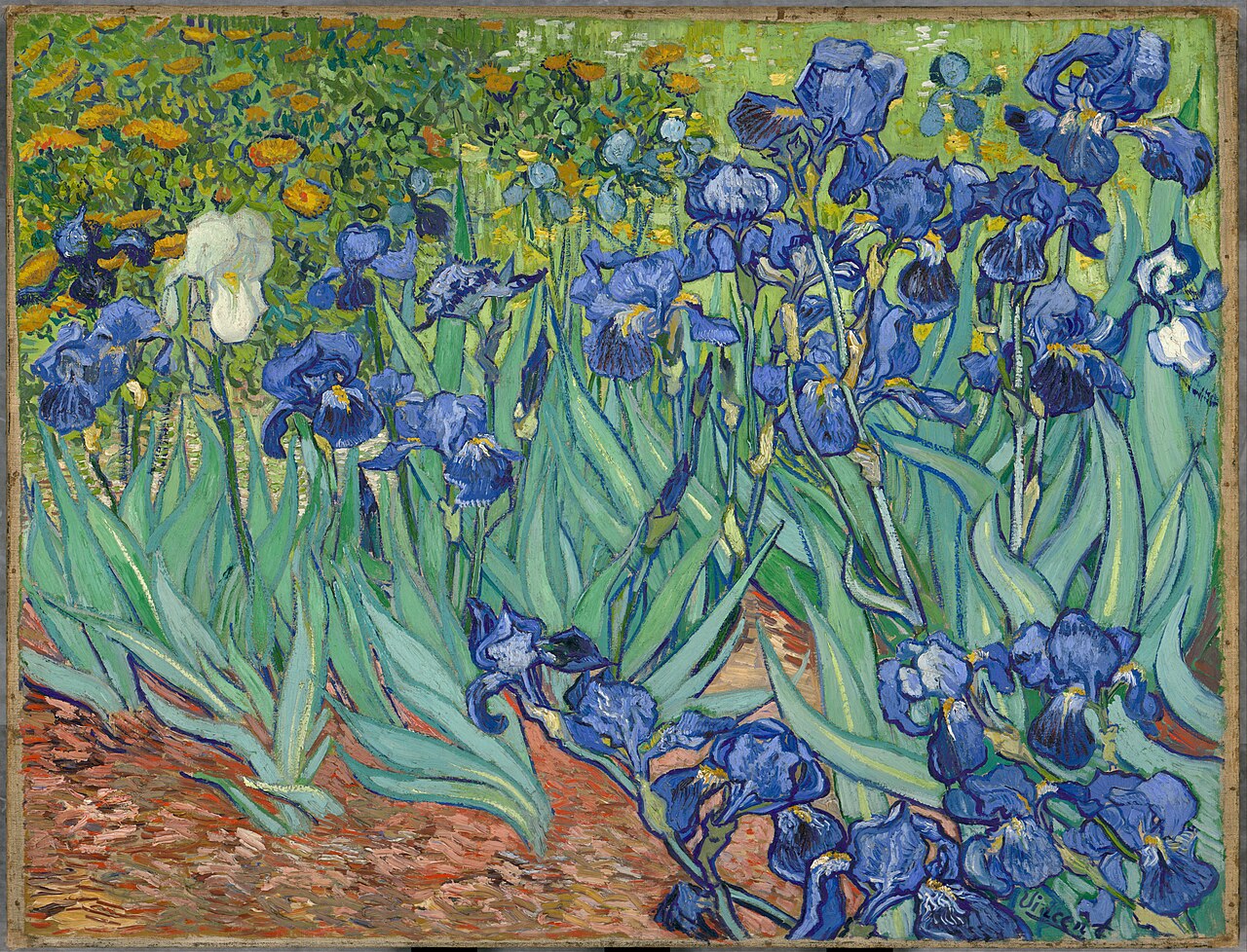 Irises by Vincent van Gogh 1889 Post-Impressionist botanical painting