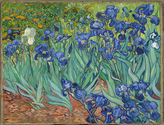 Irises by Vincent van Gogh 1889 Post-Impressionist botanical painting