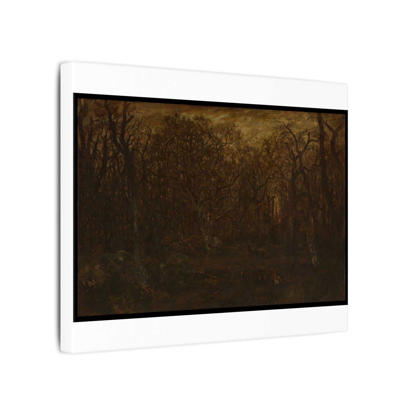 The Forest in Winter at Sunset