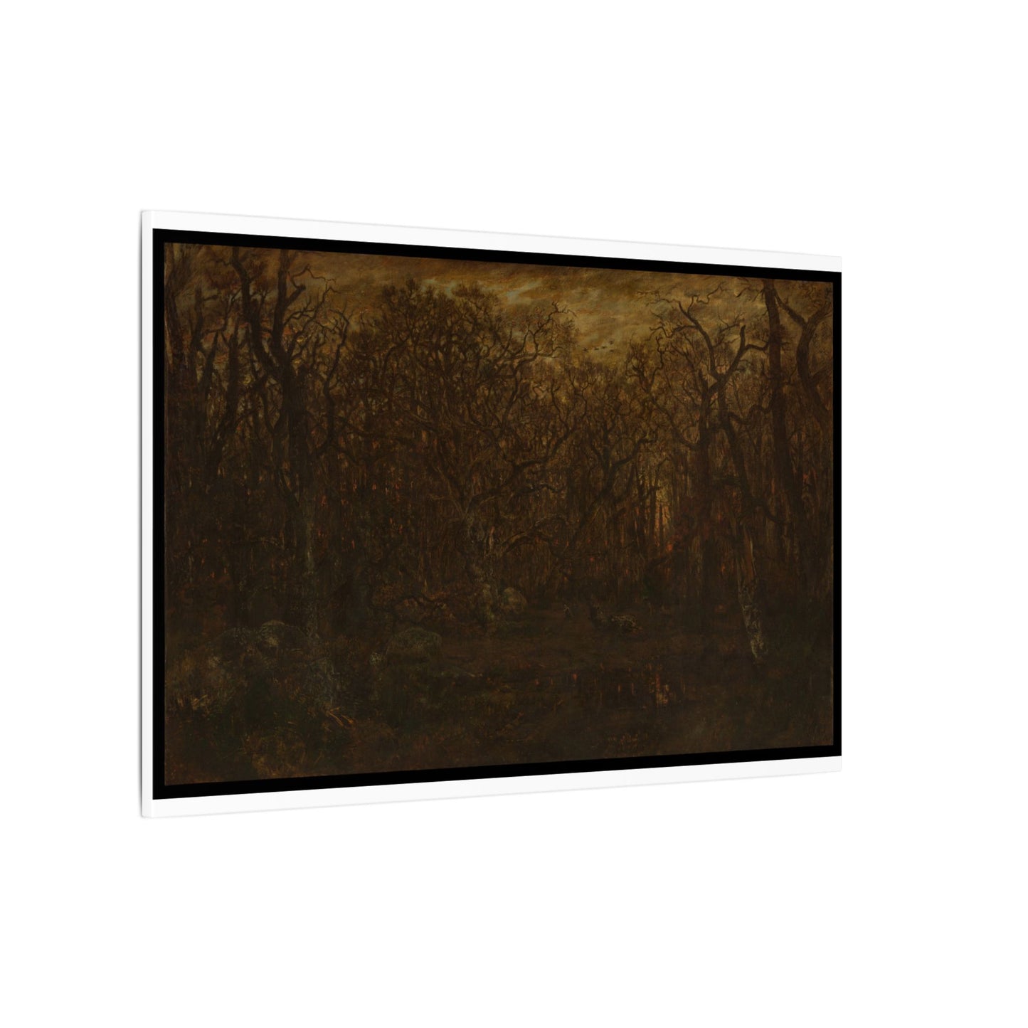 The Forest in Winter at Sunset