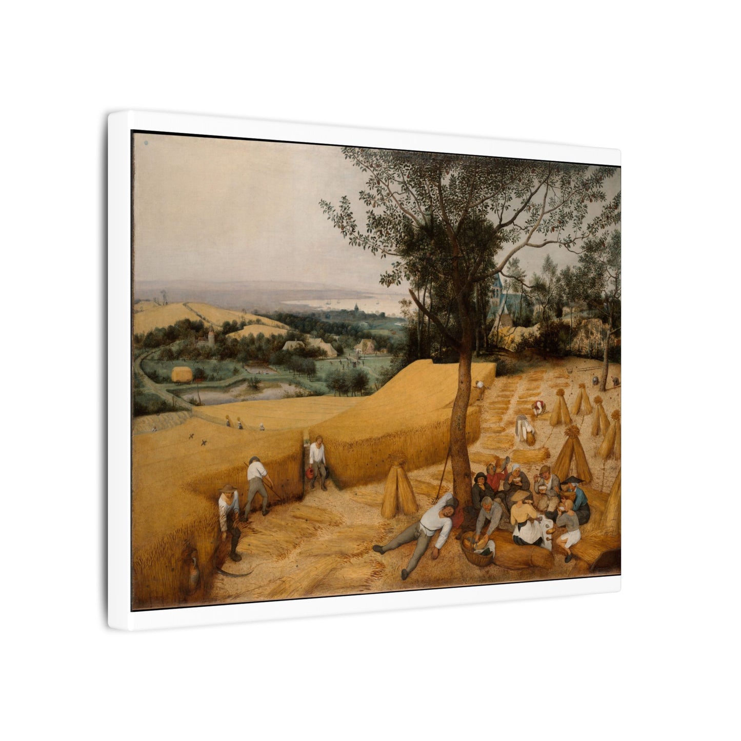 The Harvesters