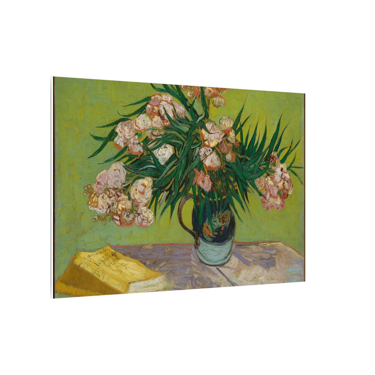Oleanders