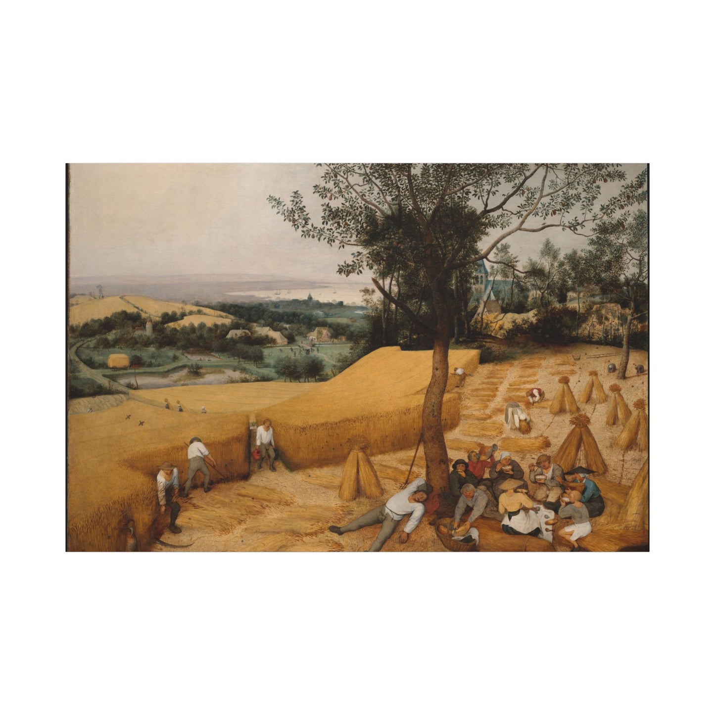 The Harvesters