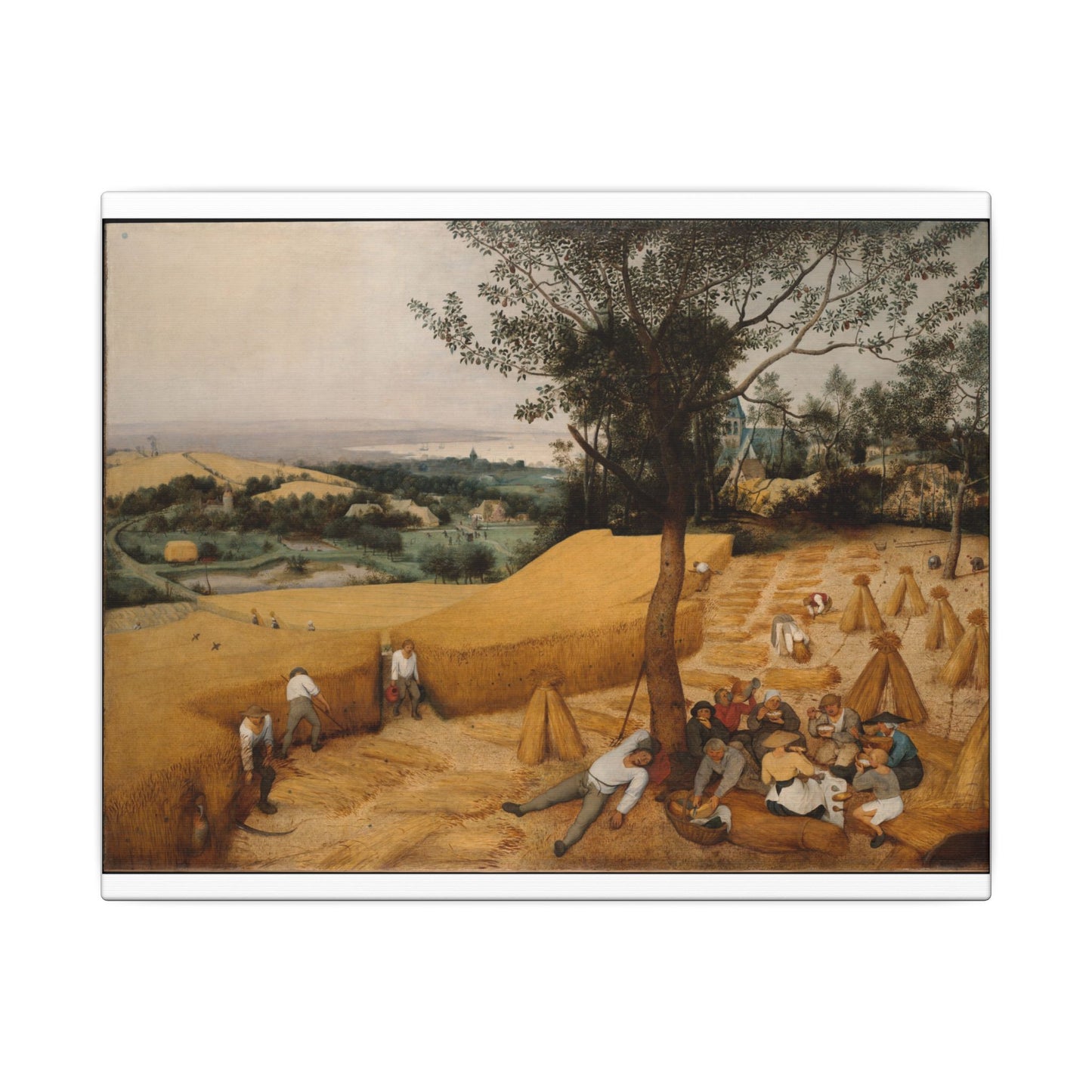 The Harvesters