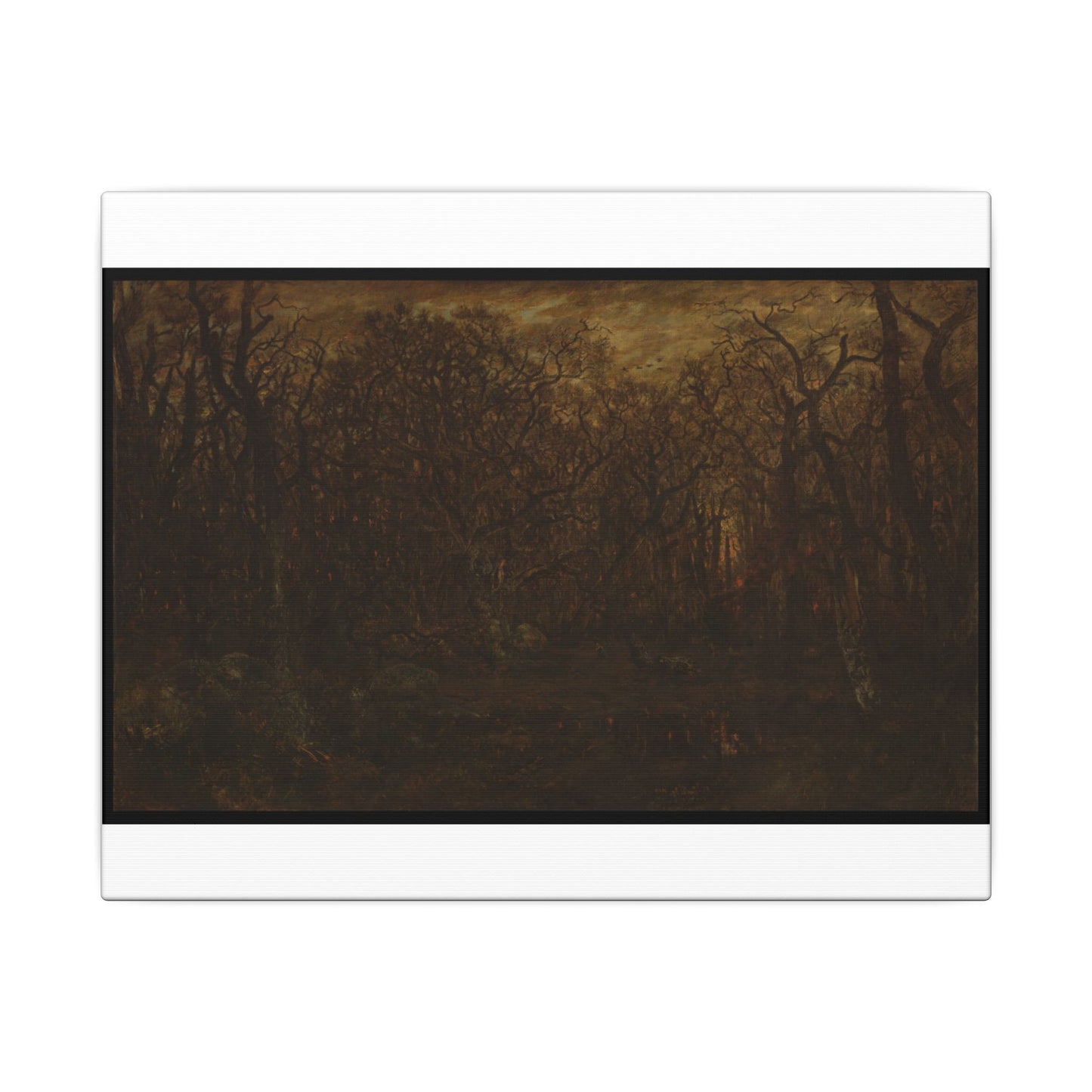 The Forest in Winter at Sunset