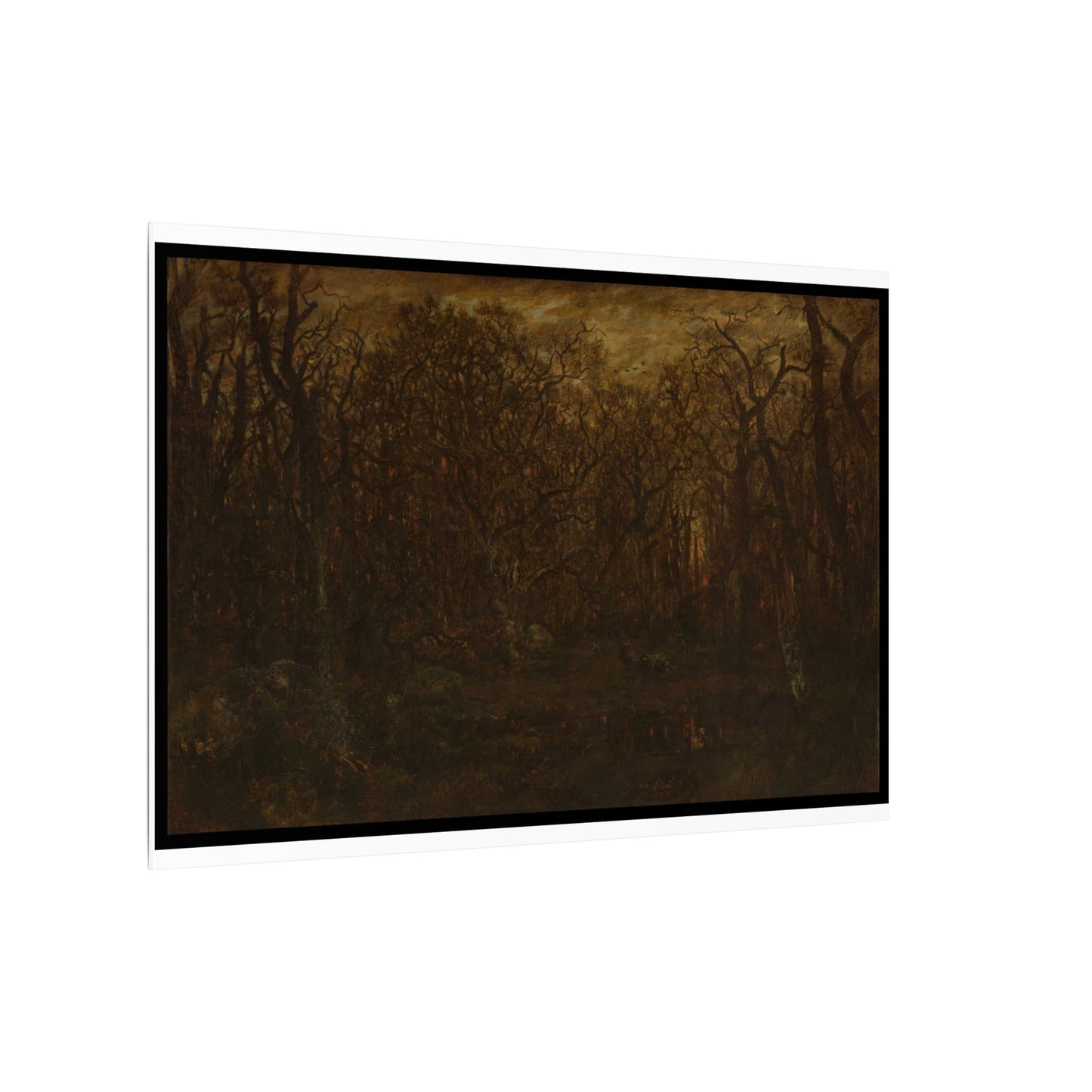 The Forest in Winter at Sunset