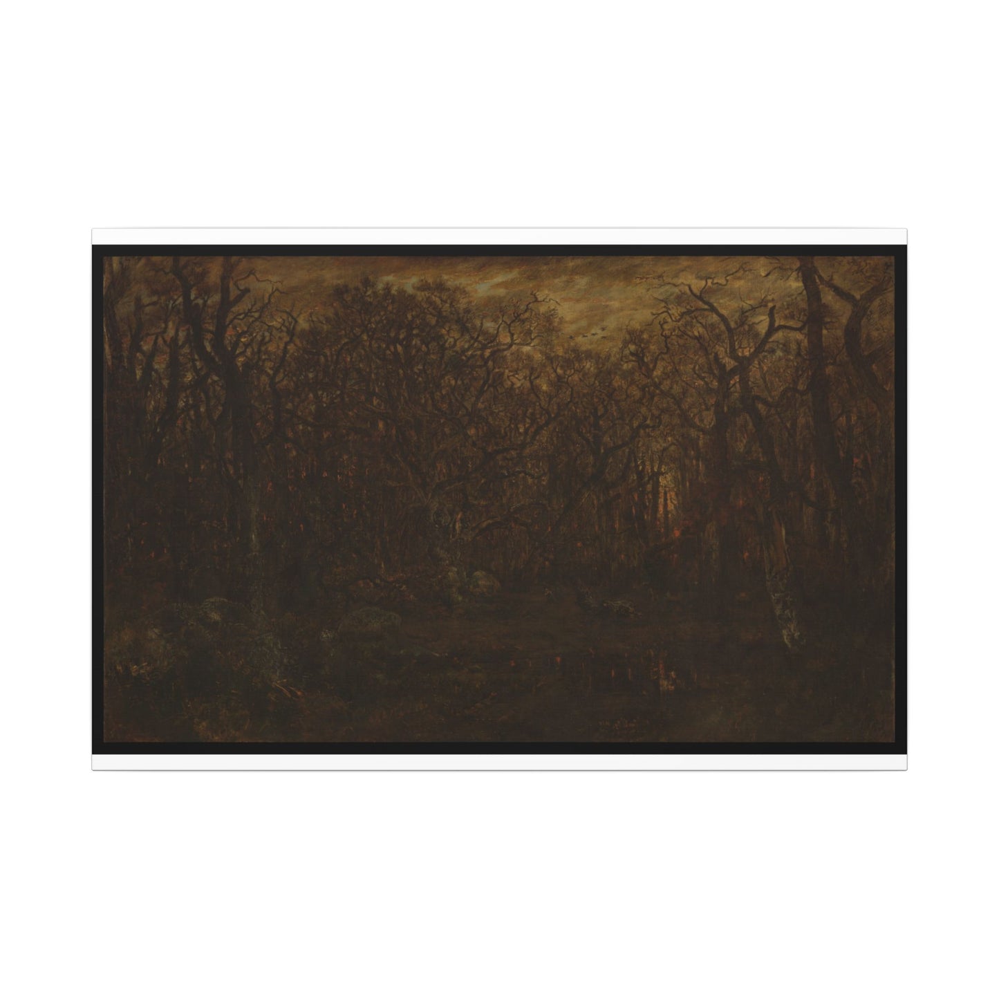 The Forest in Winter at Sunset
