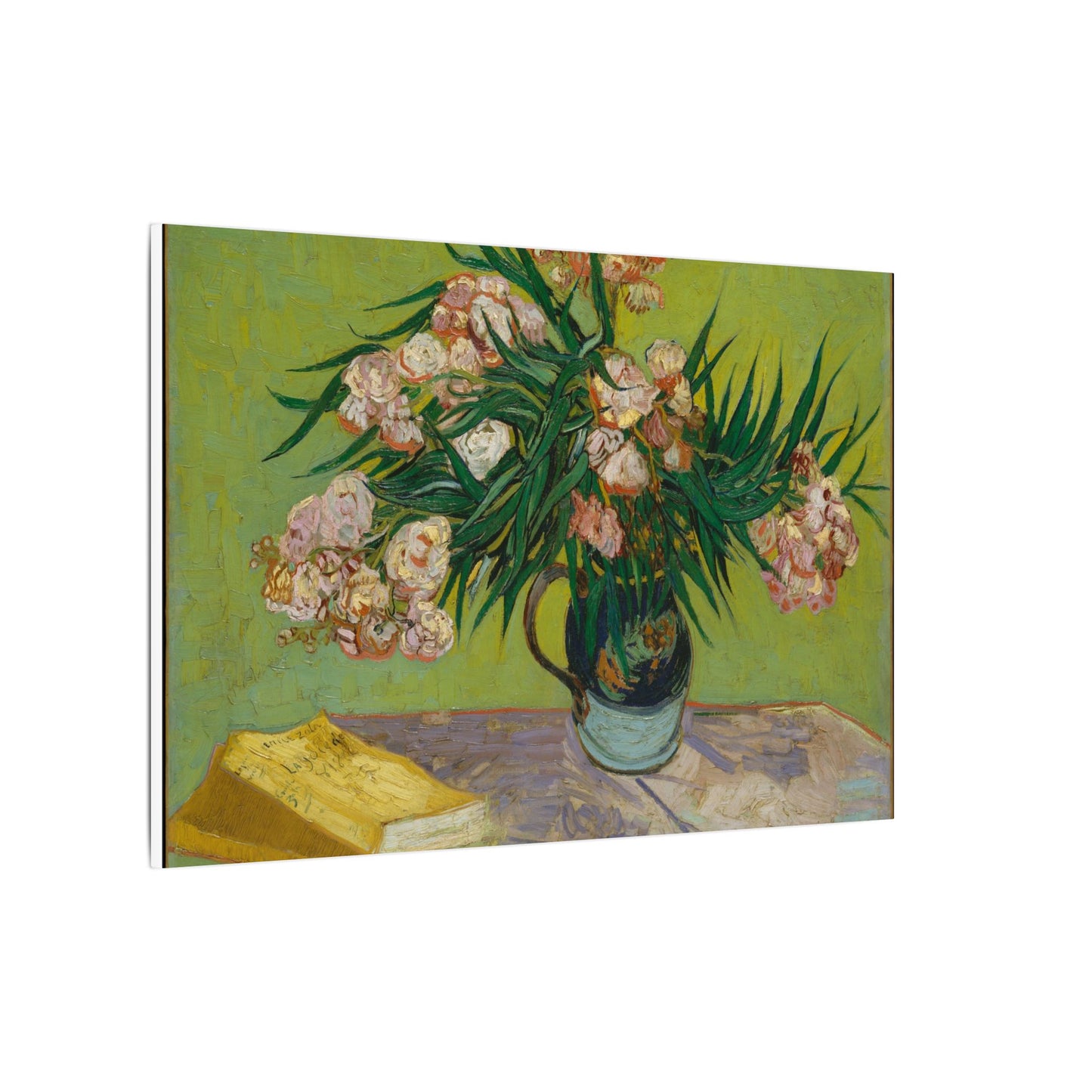 Oleanders