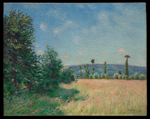 Sahurs Meadows in Morning Sun 1