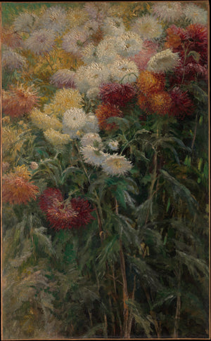Chrysanthemums in the Garden at Petit-Gennevilliers 1