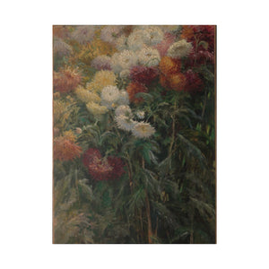 Chrysanthemums in the Garden at Petit-Gennevilliers 2